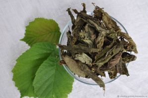 Чай из листьев ежевики