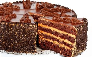 Шоколадный торт картинки