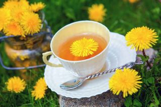 Чай из хризантемы