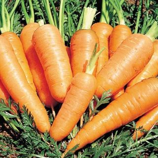 Желтая морковь для плова