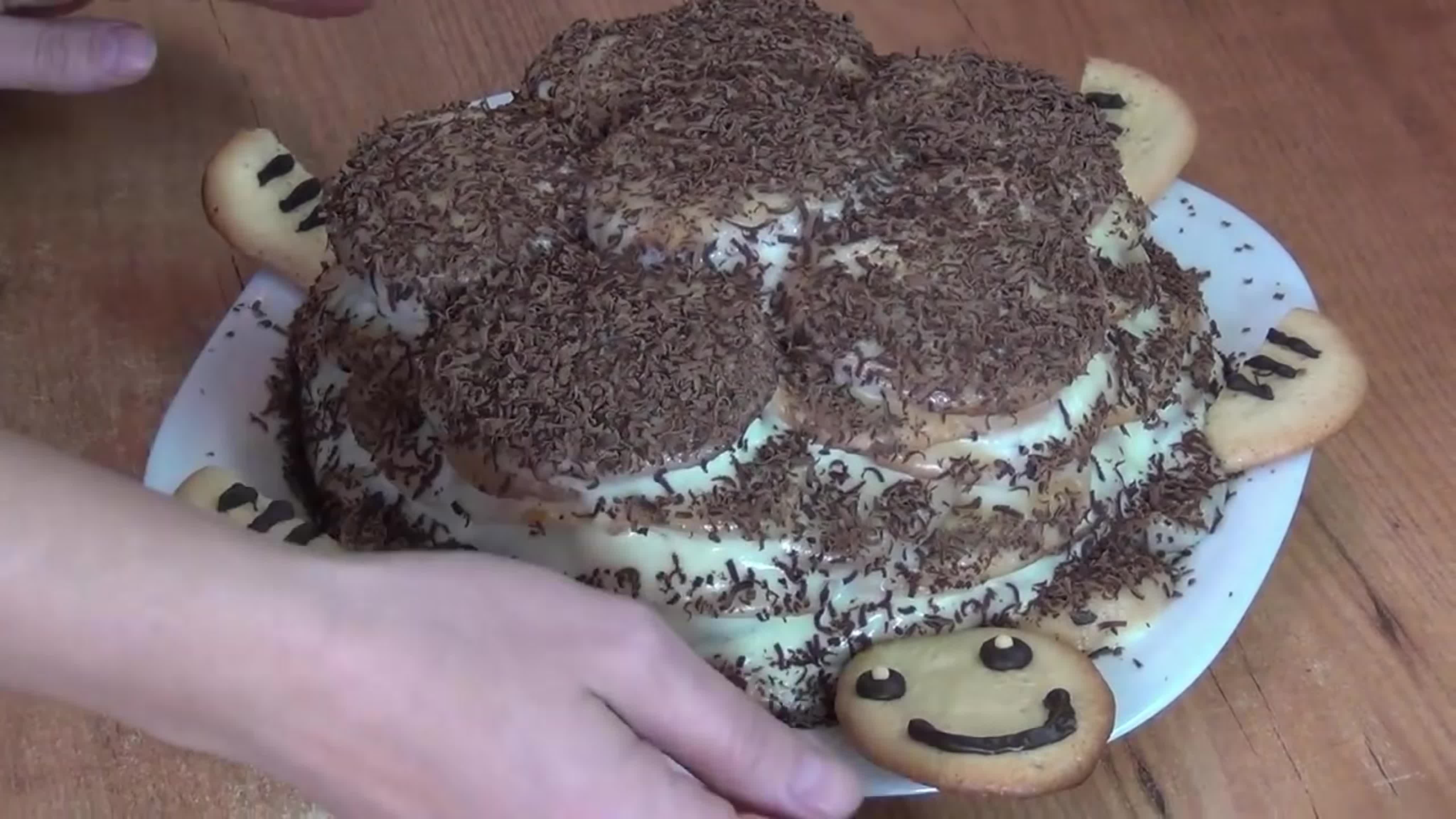 Торт черепашка рецепт с пошаговым фото со сметаной
