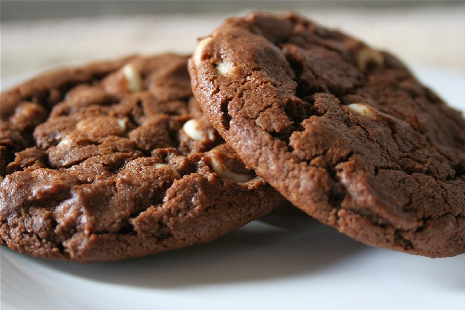 Печенье без шоколада. Кукис шоколадный. Печенье американо кукис. Печенье с шоколадом. Шоколадное печенье с шоколадом.