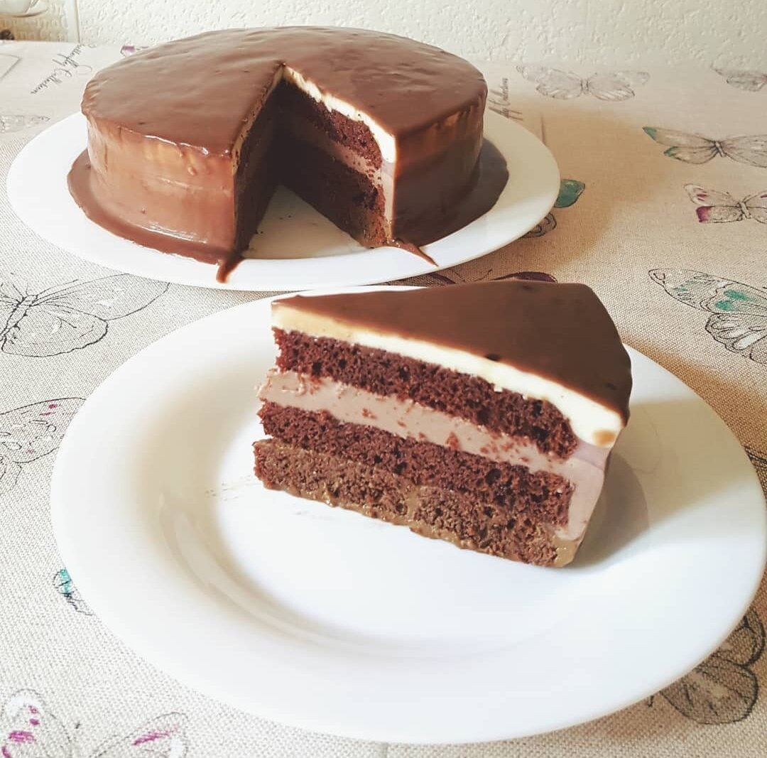 Бисквит бело шоколадный. Муссовый торт три шоколада. Торт три шоколада муссовый торт. Шоколадный бисквитный торт. Шоколадный бисквит для торта.