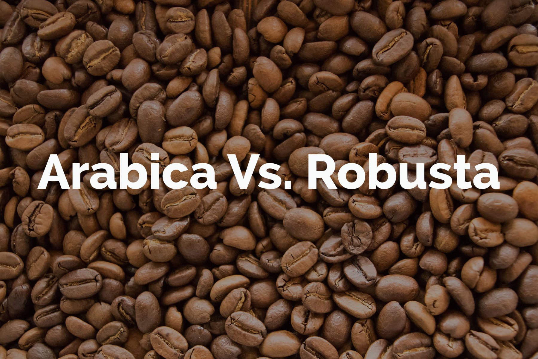 Сорт арабика и робуста. Кофе Арабика и Робуста. Арабика vs Робуста. Кофе в зернах Арабика и Робуста. Кофе 50 Арабика и 50 Робуста.