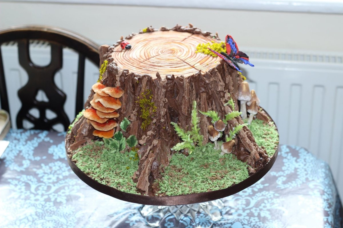 Торт пень декор БЗК