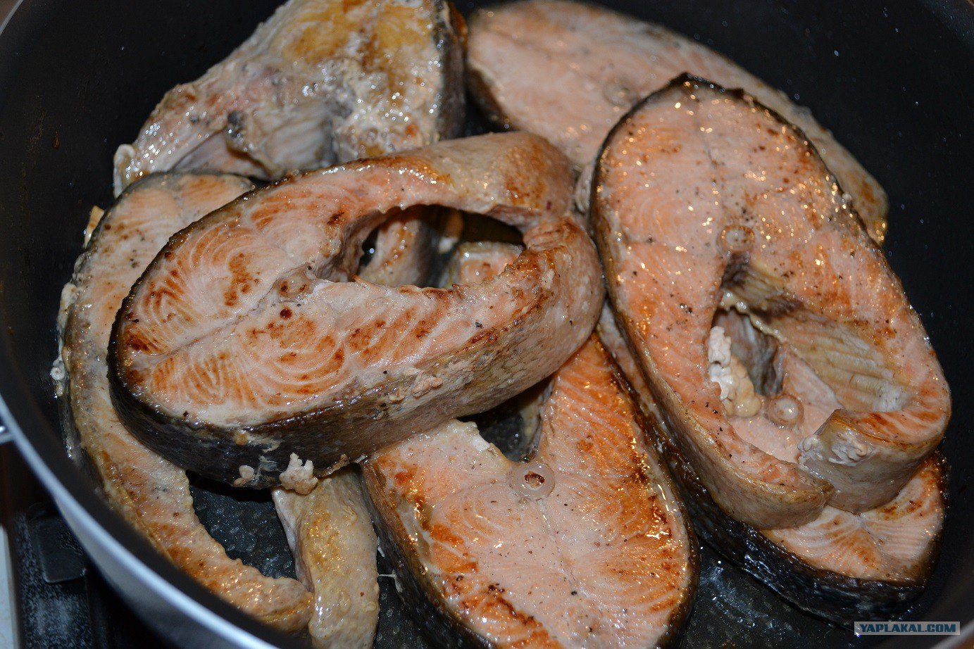 Рецепт вкусно пожаренной горбуши. Жареная рыба на сковороде. Красная рыба жареная на сковороде. Горбуша на сковороде. Кета жареная.