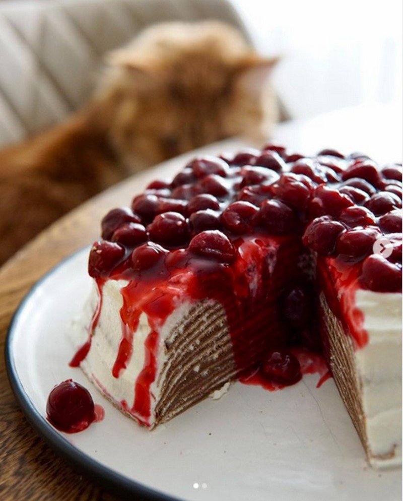 Блинный торт Монастырская изба. Блинный торт Шантимель. Шоколадный блинный торт. Торт с вишневым конфитюром. Блинный торт с вишневым джемом