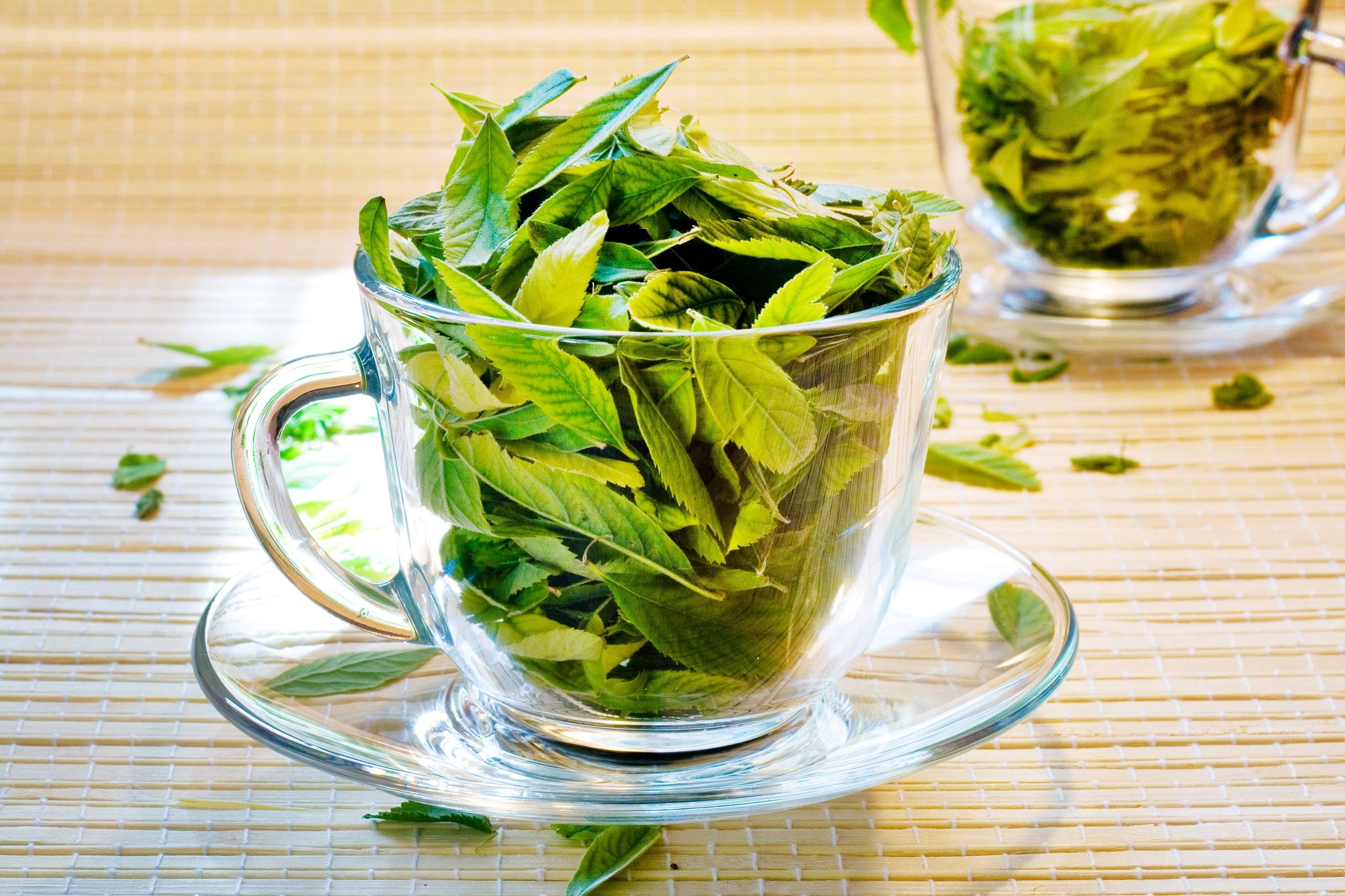 Лайм в чай. Мурсальский чай. Зеленый чай. Чайный лист. Зеленый чай листья.