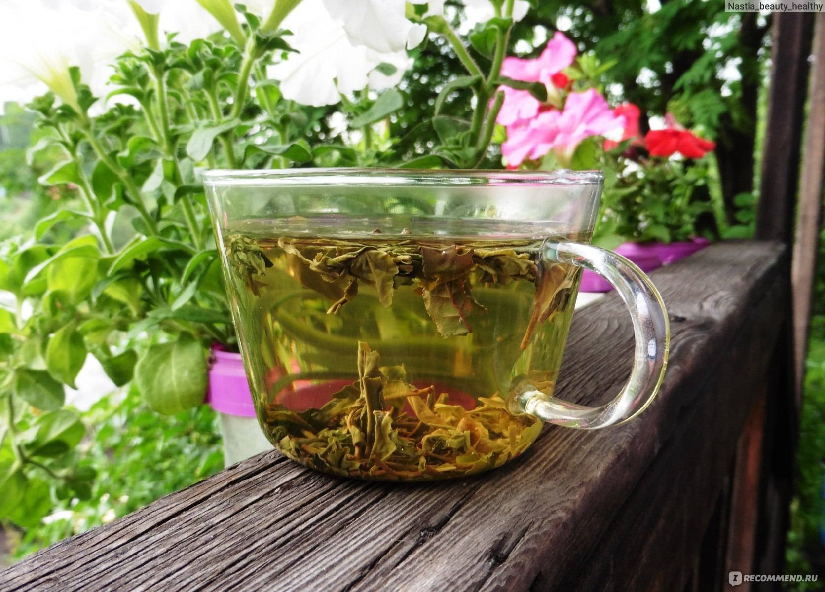 Хороший вкусный чай. Зеленый чай. Чай с травами. Травяной настой. Настой из трав.