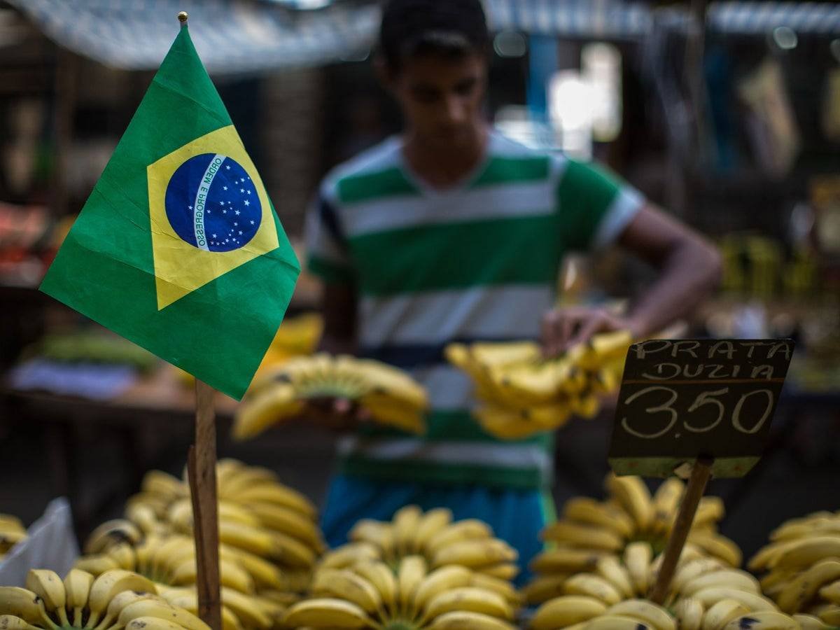 Сельское хозяйство Бразилии. Экономика Бразилии. Пищевая промышленность Бразилии. Бразилия торговля.