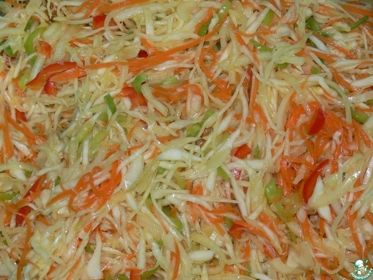 Витаминный (капуста, перец, огурец, морковь) 100г - 35р