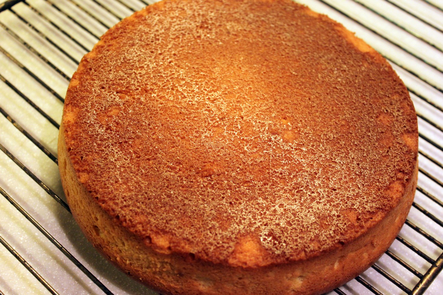 Бисквитный простой и быстрый. Выпечка бисквита. Форма для бисквита. Бисквит для торта пышный и простой в духовке. Коржи круглые бисквит.