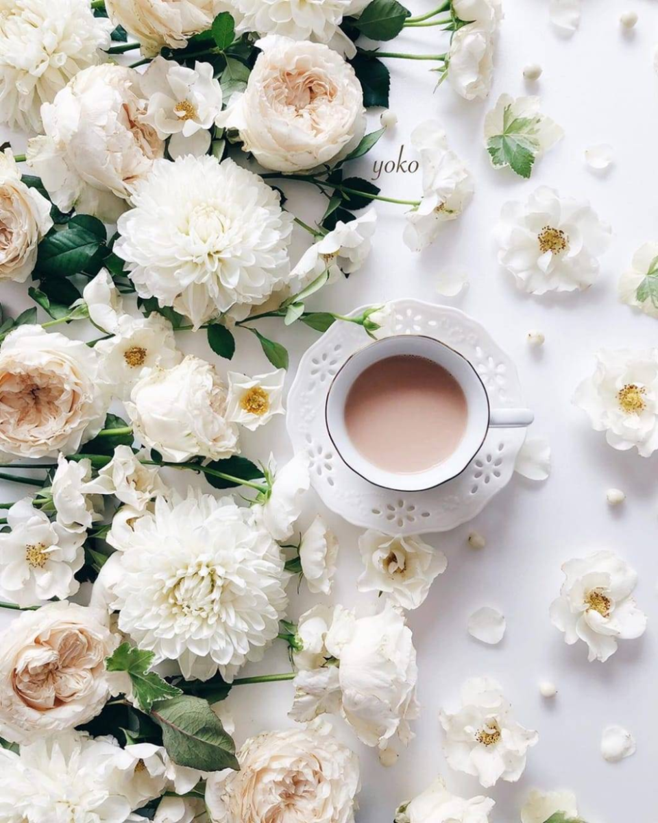 Белые розы и кофе